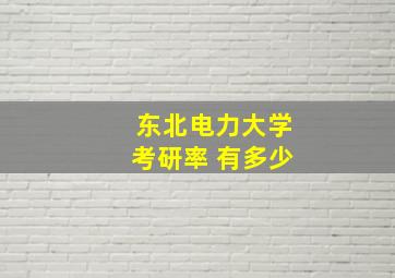 东北电力大学考研率 有多少